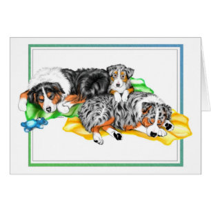 Australian Shepherd Family Nap Card