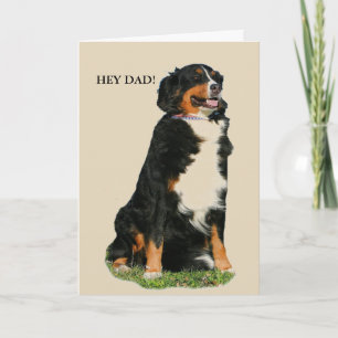 Australian Shepherd Father's Day Card
