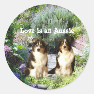 Australian Shepherd Garden Sticker