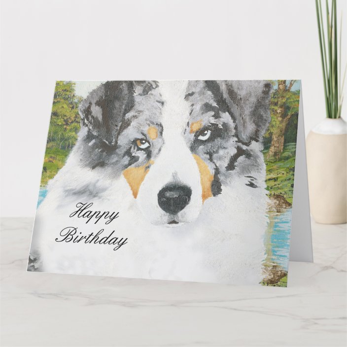 Australian Shepherd Happy Birthday Big Card Zazzle.co.uk