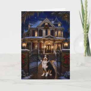 Australian Shepherd Holiday Card