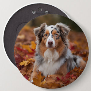 Australian Shepherd in Autumn Leaves Fall Inspire 6 Cm Round Badge