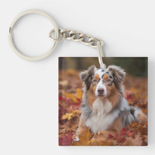 Australian Shepherd  in Autumn Leaves Fall Inspire Key Ring (Front)