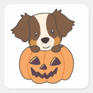 Australian Shepherd In Pumpkin Cute Happy Square S Square Sticker