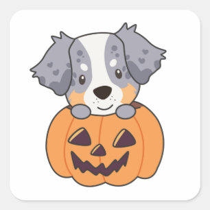 Australian Shepherd In Pumpkin Cute Happy Square S Square Sticker