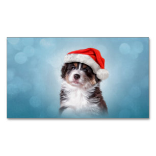 Australian Shepherd in red hat of Santa Magnetic Business Card