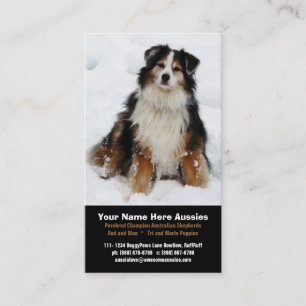 Australian Shepherd in Snow Breeder Business Cards