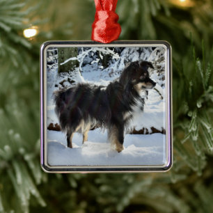 australian shepherd in snow full third metal tree decoration