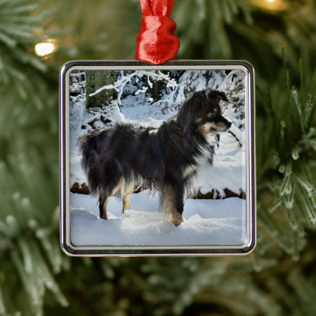 australian shepherd in snow full third metal tree decoration (Tree)