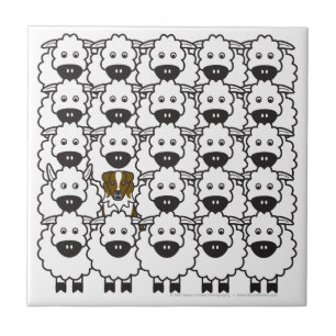 Australian Shepherd in the Sheep Tile