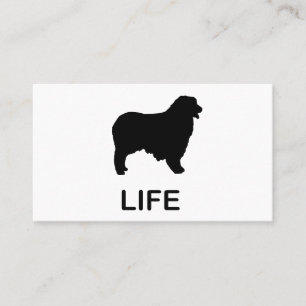 australian shepherd life business card