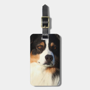 Australian Shepherd Luggage Tag