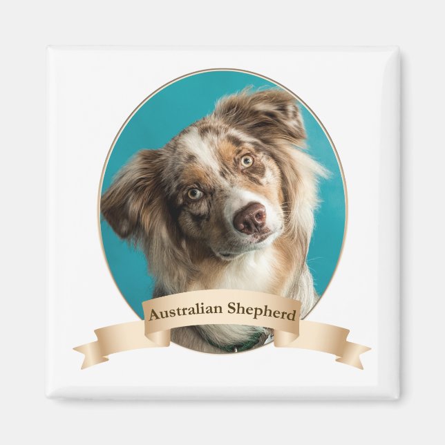 Australian Shepherd Magnet (Front)
