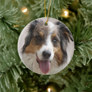 australian shepherd merle ceramic tree decoration