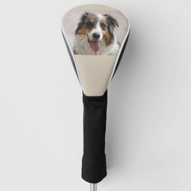 australian shepherd merle golf head cover (Front)
