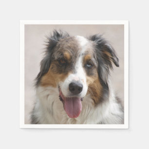 australian shepherd merle napkin