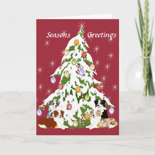Australian Shepherd ~ Merry Christmas Holiday Card