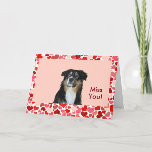 Australian Shepherd Miss You Card