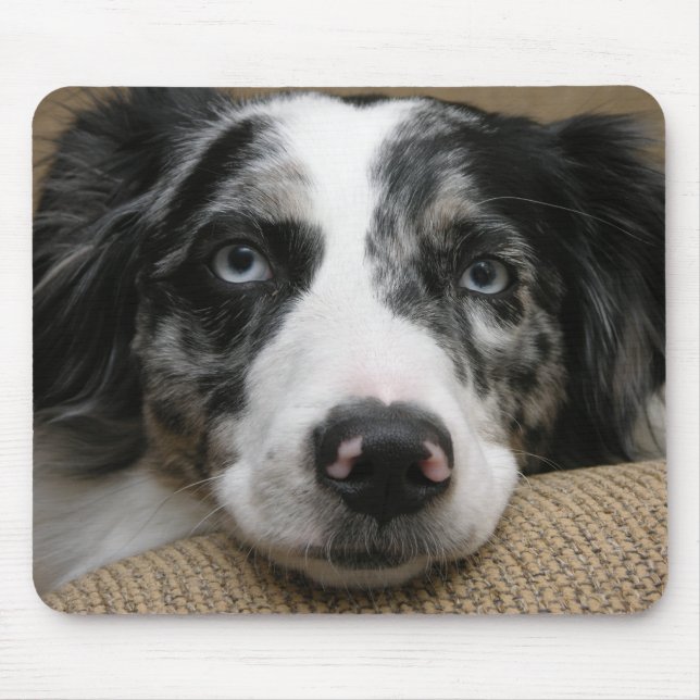Australian shepherd Mousepad (Front)