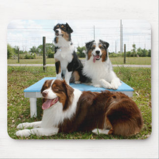 Australian Shepherd Mousepad
