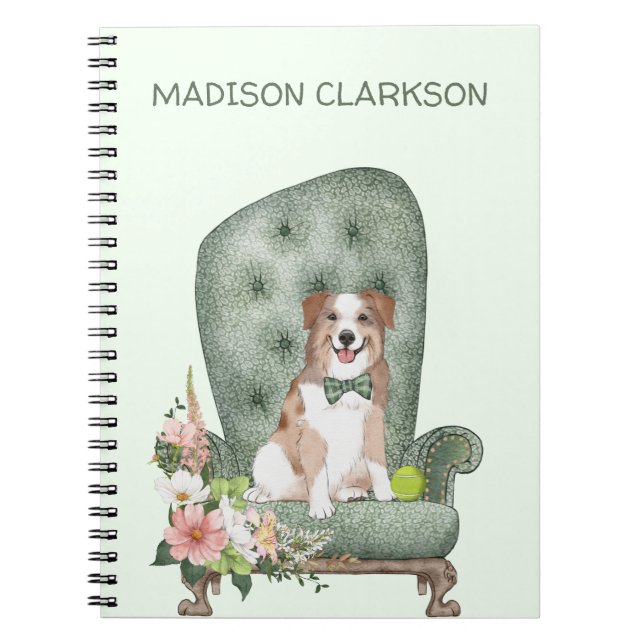 Australian Shepherd on Chair  Notebook (Front)