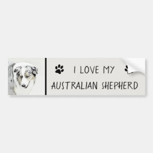 Australian Shepherd Painting - Original Dog Art Bumper Sticker