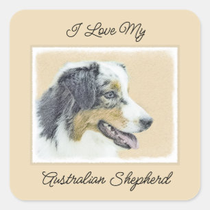 Australian Shepherd Painting - Original Dog Art Square Sticker