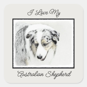 Australian Shepherd Painting - Original Dog Art Square Sticker