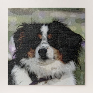 Australian shepherd, Pet, Dog Jigsaw Puzzle