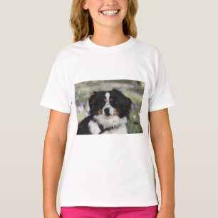 Australian shepherd, Pet, Dog T-Shirt