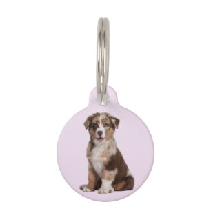 Australian Shepherd Pet Tag