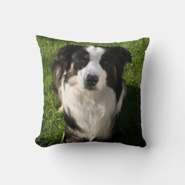 Australian Shepherd Photo Pillow (Front)