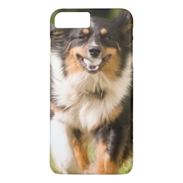 Australian Shepherd Playing With Ball Case-Mate iPhone Case (Back)