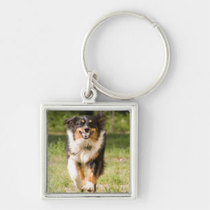 Australian Shepherd Playing With Ball Key Ring