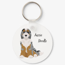 Australian Shepherd Poodle mix, Aussie Doodle Key 