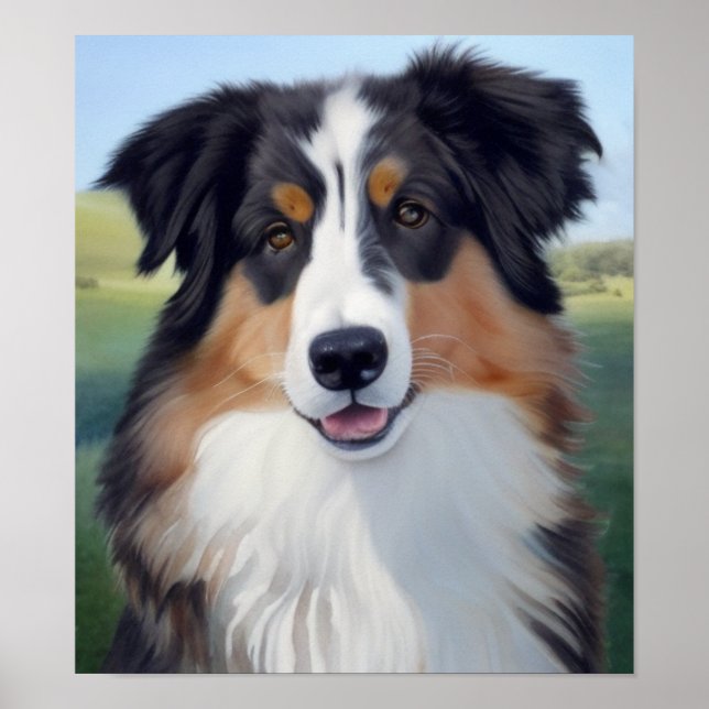Australian Shepherd Portrait  -  Poster (Front)