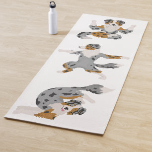 Australian shepherd pose yoga mat