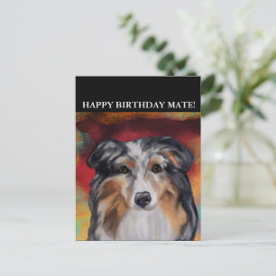 AUSTRALIAN SHEPHERD  POSTCARD
