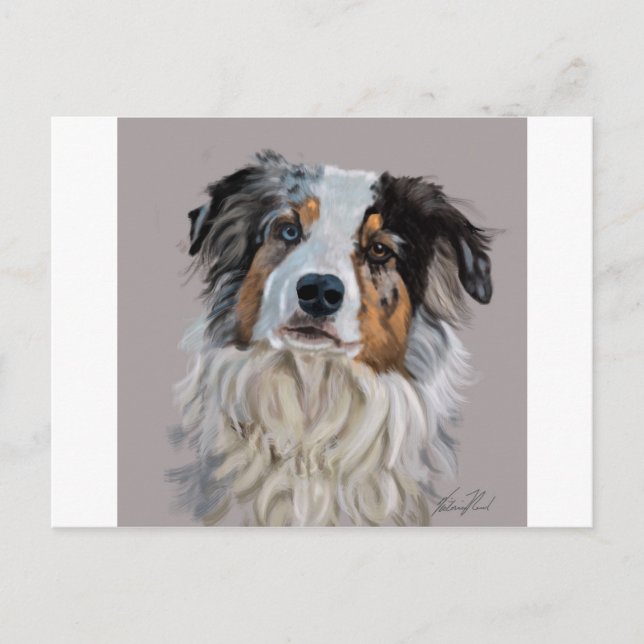 Australian Shepherd Postcard (Front)