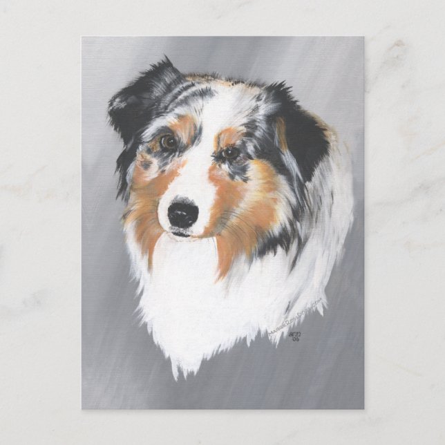 Australian Shepherd Postcard (Front)