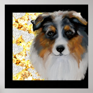 Australian Shepherd   Poster