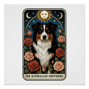 Australian Shepherd Poster