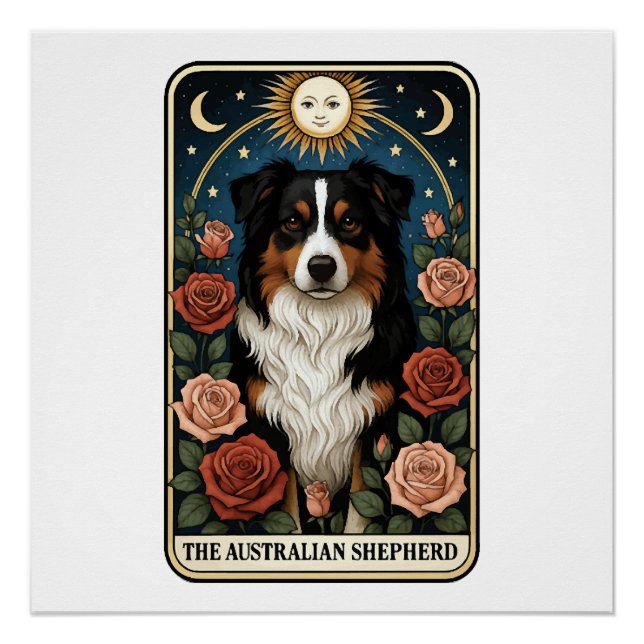 Australian Shepherd Poster (Front)
