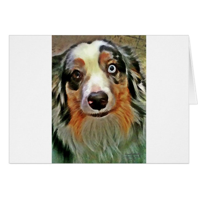 Australian Shepherd Print (Front Horizontal)