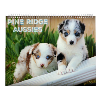 Australian Shepherd Puppies Calendar