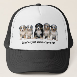 Australian Shepherd Puppies Hat