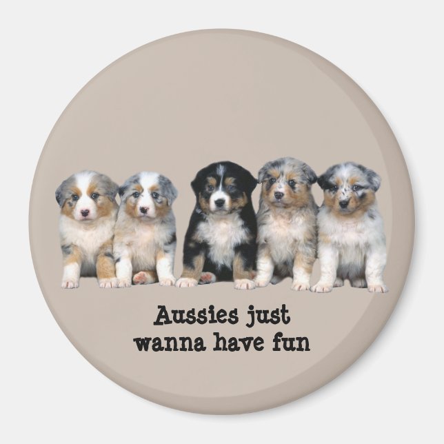 Australian Shepherd Puppies Magnet (Front)