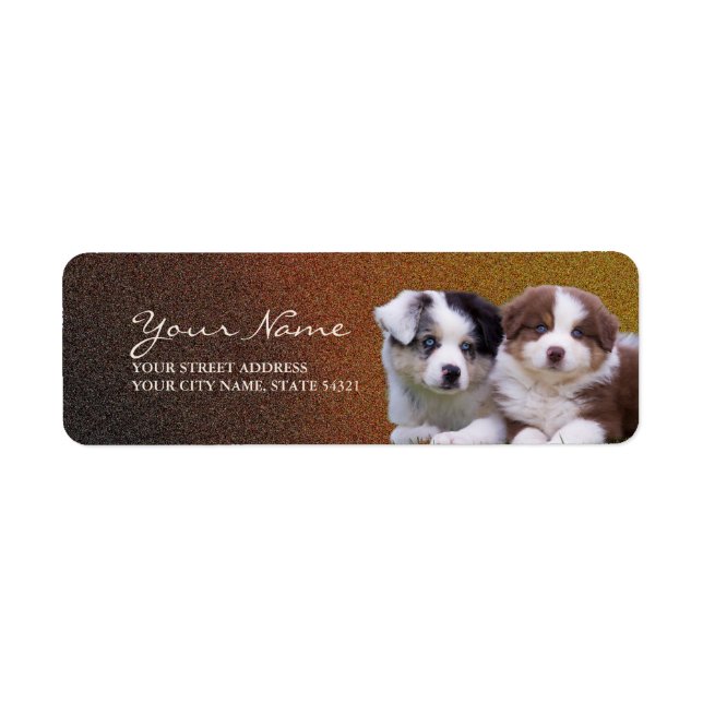 Australian Shepherd Puppies Return Address Label (Front)