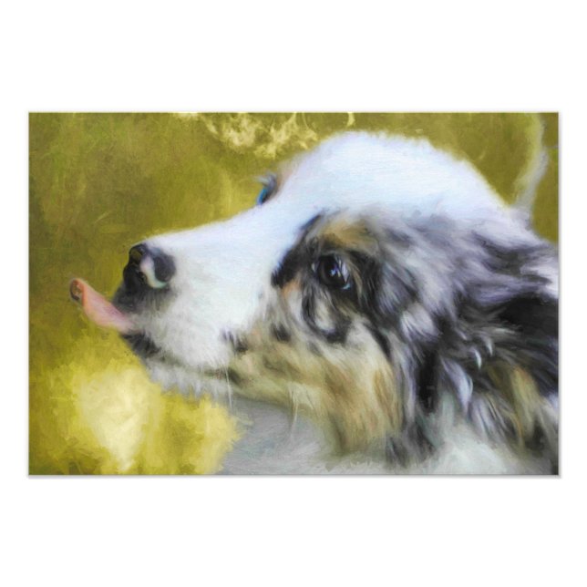 Australian Shepherd Puppy 1 Photo Print (Front)