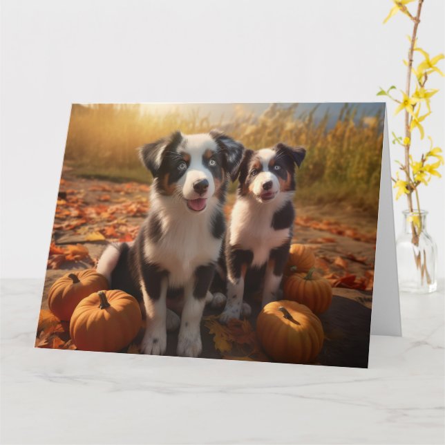 Australian Shepherd Puppy Autumn Delight Pumpkin Card (Yellow Flower)